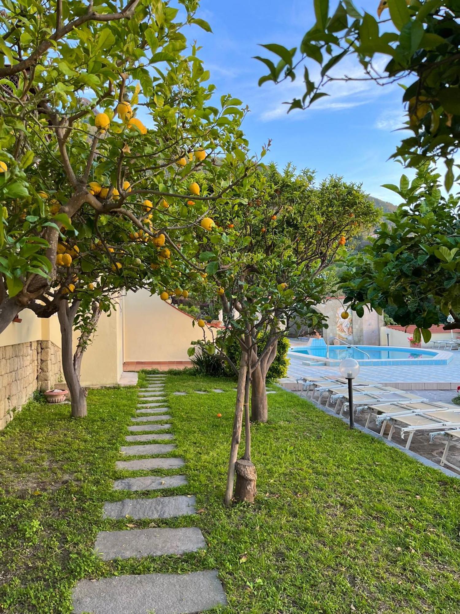 Resort Villa Flavio Casamicciola Terme Zewnętrze zdjęcie