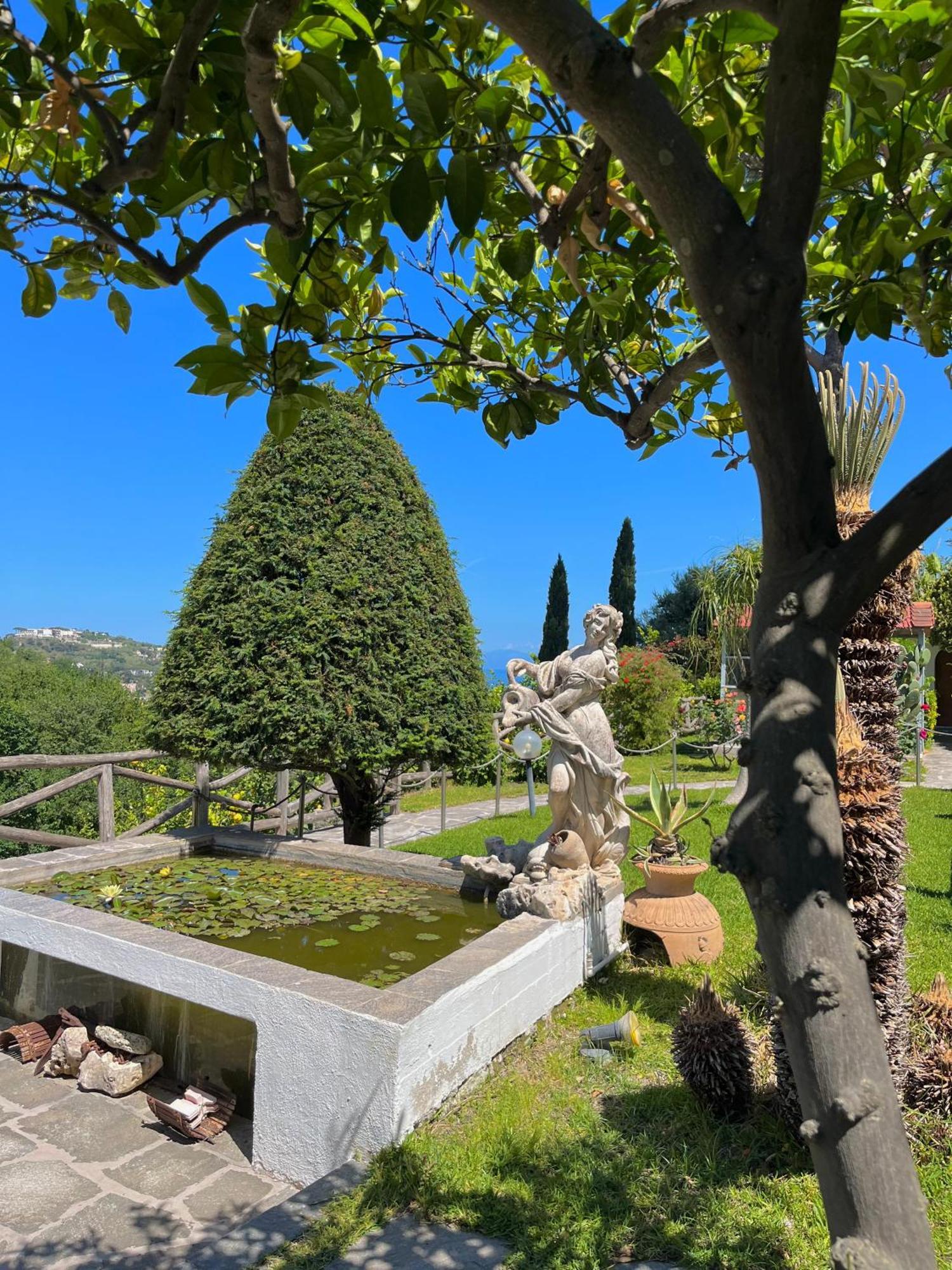 Resort Villa Flavio Casamicciola Terme Zewnętrze zdjęcie