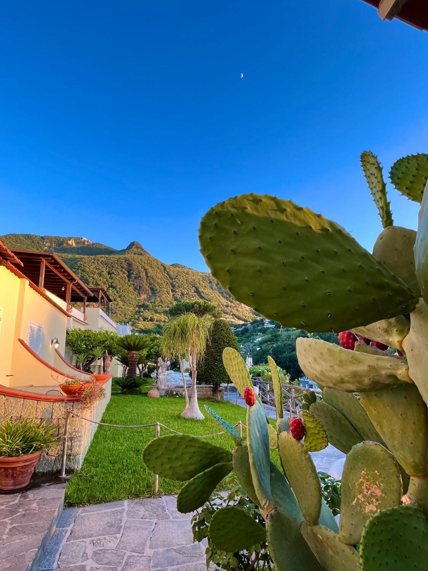 Resort Villa Flavio Casamicciola Terme Zewnętrze zdjęcie