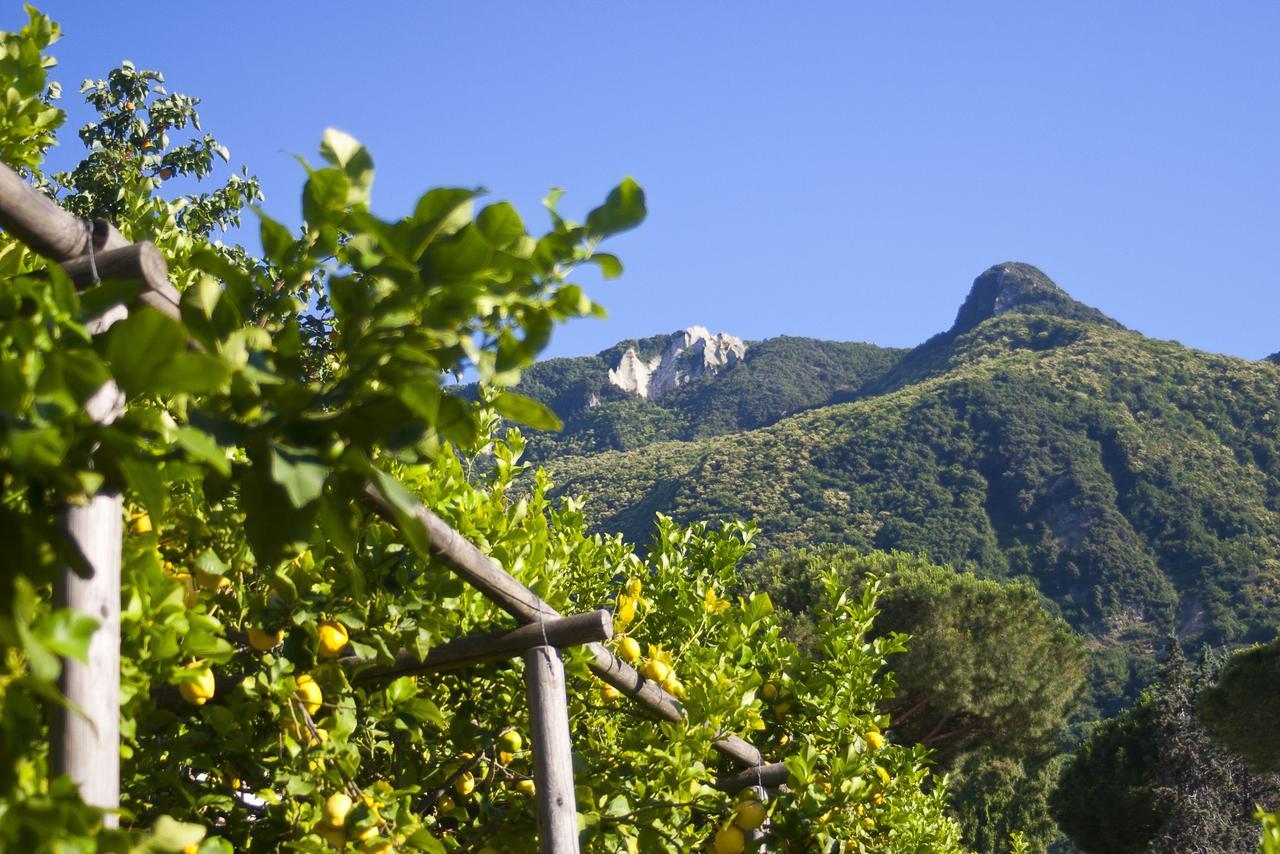 Resort Villa Flavio Casamicciola Terme Zewnętrze zdjęcie