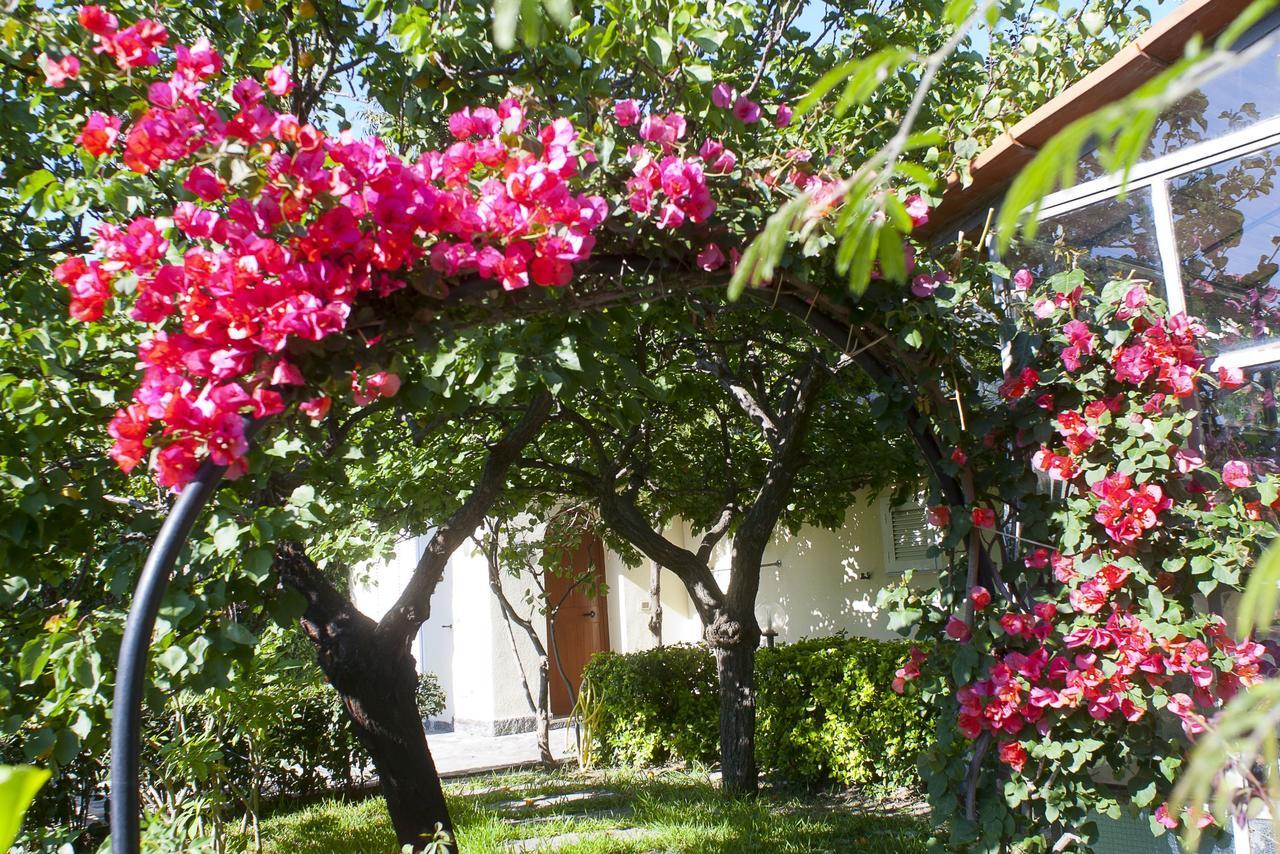 Resort Villa Flavio Casamicciola Terme Zewnętrze zdjęcie